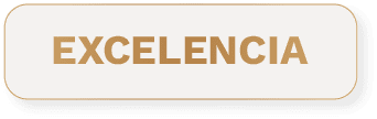 Excelencia
