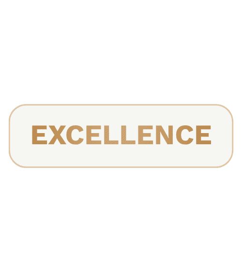excellence-06